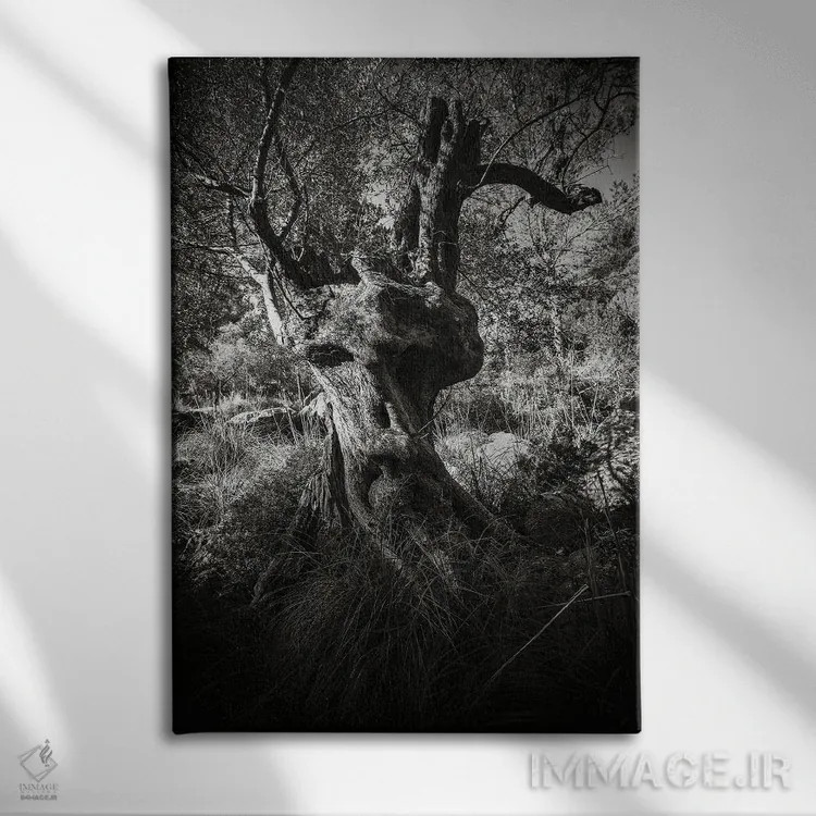 تابلو انت (موجود افسانهای) اثر آنابل شابر - نمای روبهرو روی دیوار