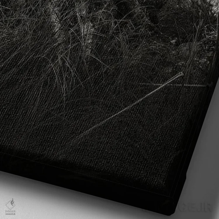 تابلو انت (موجود افسانهای) اثر آنابل شابر - نمای نزدیک بافت بوم