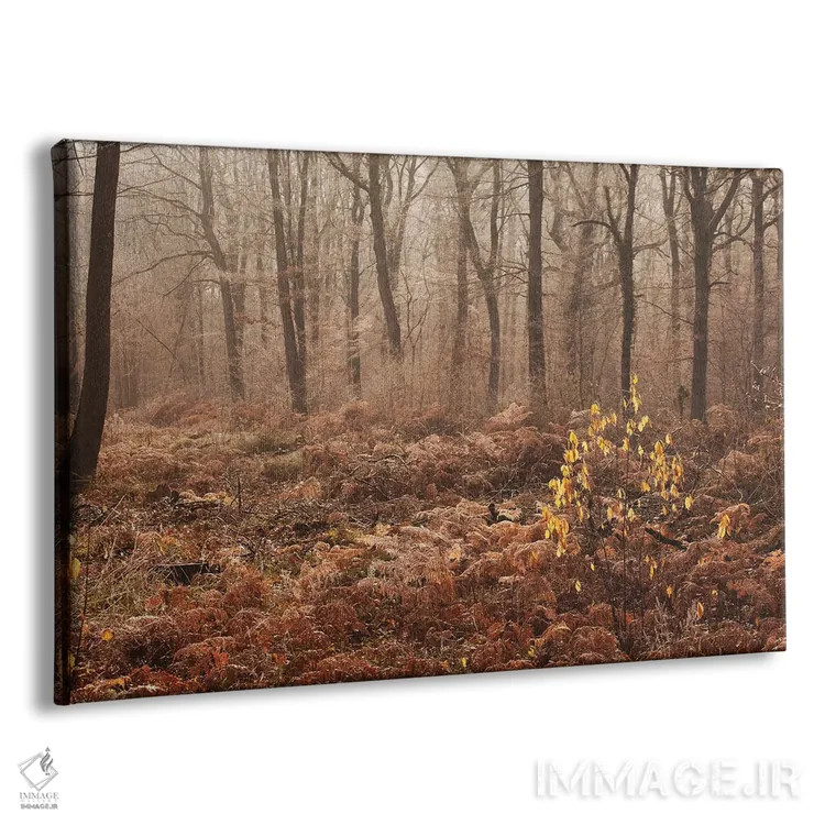 تابلو جنگل پاییزی مهآلود اثر آنابل شابر - نمای پرسپکتیو محصول