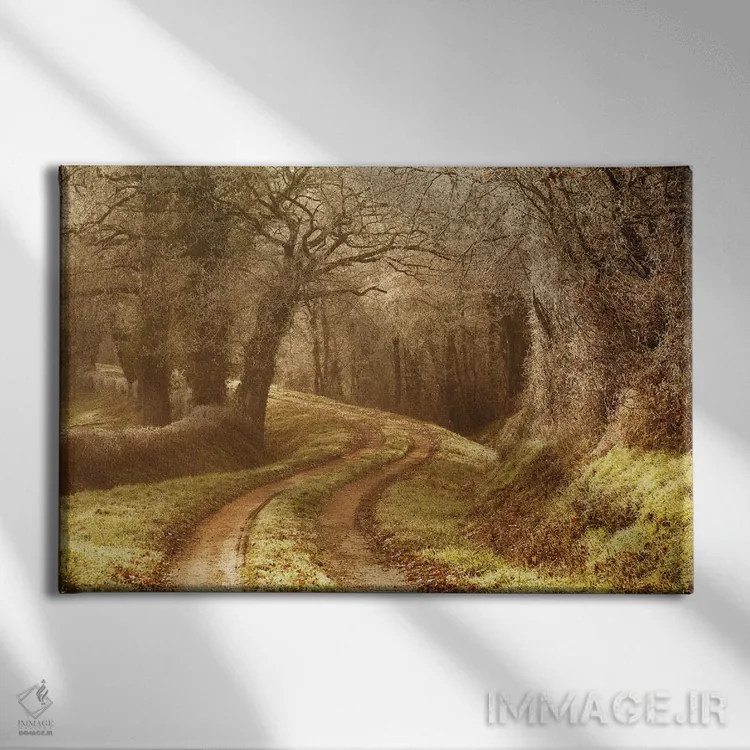 تابلو مسیر یخزده اثر آنابل شابر - نمای روبهرو روی دیوار