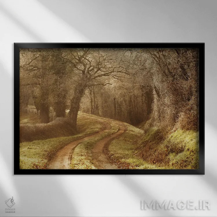 تابلو مسیر یخزده اثر آنابل شابر - نمای قابدار مشکی