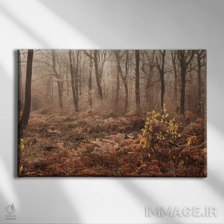تابلو جنگل پاییزی مهآلود اثر آنابل شابر - نمای روبهرو روی دیوار