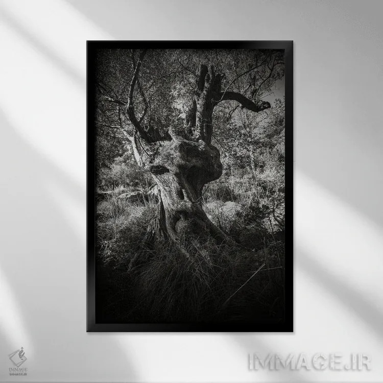 تابلو انت (موجود افسانهای) اثر آنابل شابر - نمای قابدار مشکی