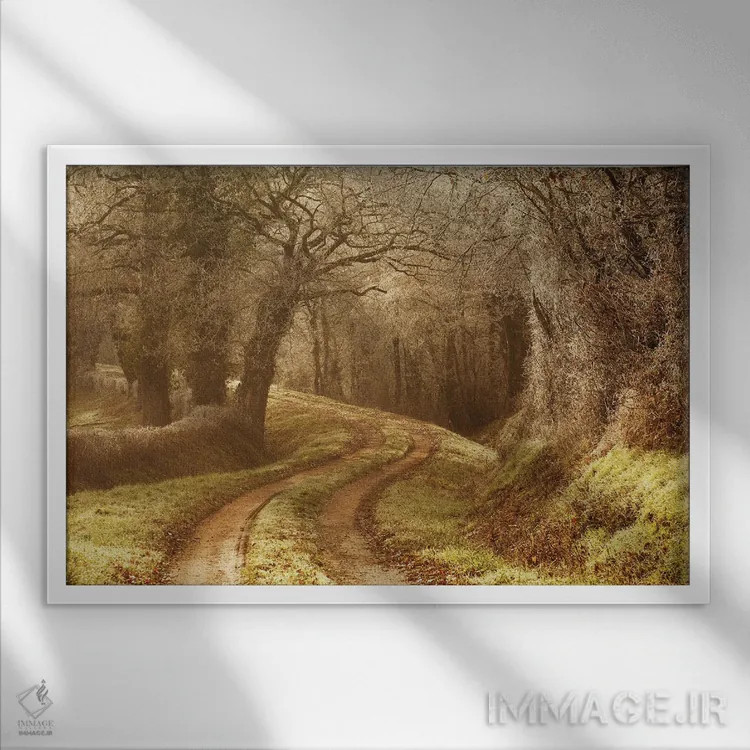 تابلو مسیر یخزده اثر آنابل شابر - نمای قابدار سفید