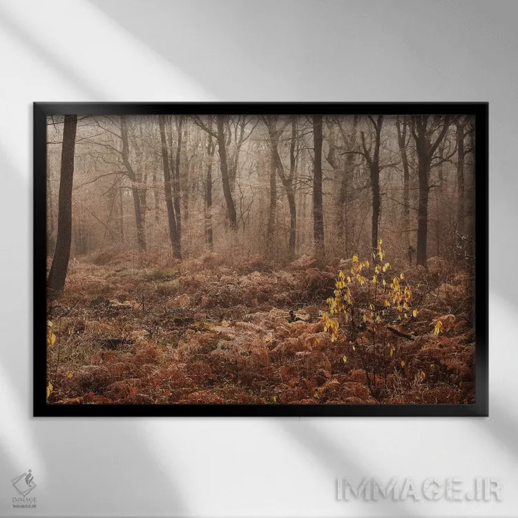 تابلو جنگل پاییزی مهآلود اثر آنابل شابر - نمای قابدار مشکی