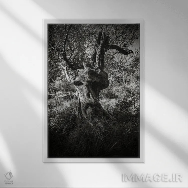 تابلو انت (موجود افسانهای) اثر آنابل شابر - نمای قابدار سفید