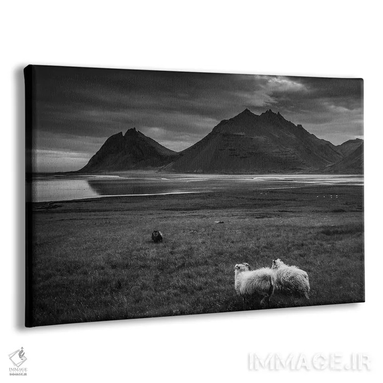 تابلو چشمانداز سیاه و سفید اثر آنابل شابر - نمای پرسپکتیو محصول