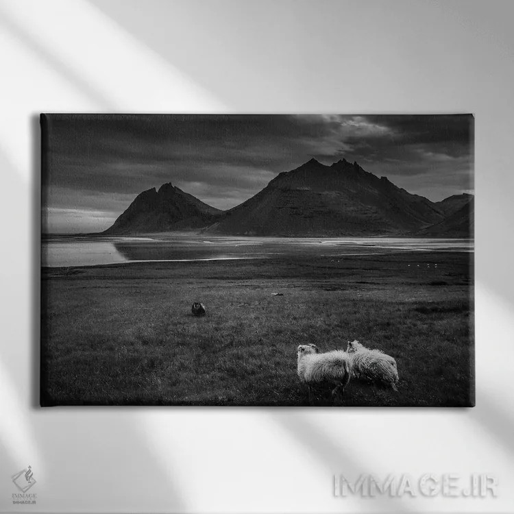 تابلو چشمانداز سیاه و سفید اثر آنابل شابر - نمای روبهرو روی دیوار