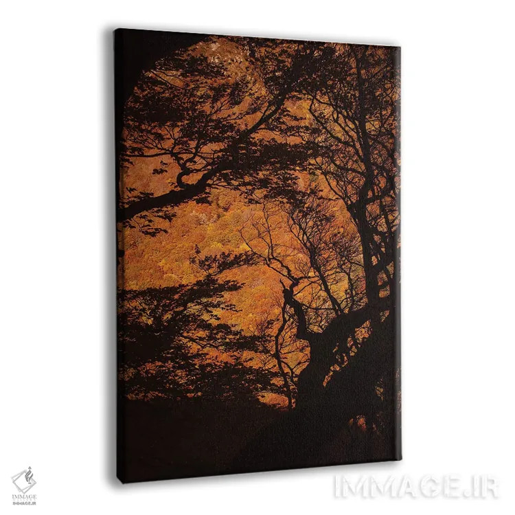 تابلو پنجرهای به طبیعت جنگلی اثر آنابل شابر - نمای پرسپکتیو محصول