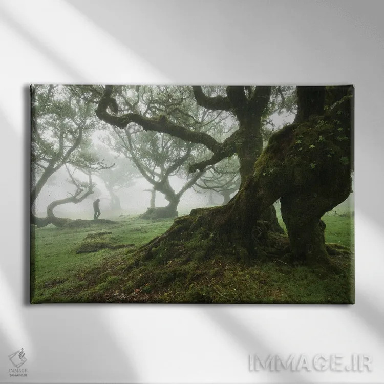 تابلو در دل جنگل فانال اثر آنابل شابر - نمای روبهرو روی دیوار