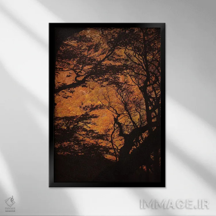 تابلو پنجرهای به طبیعت جنگلی اثر آنابل شابر - نمای قابدار مشکی