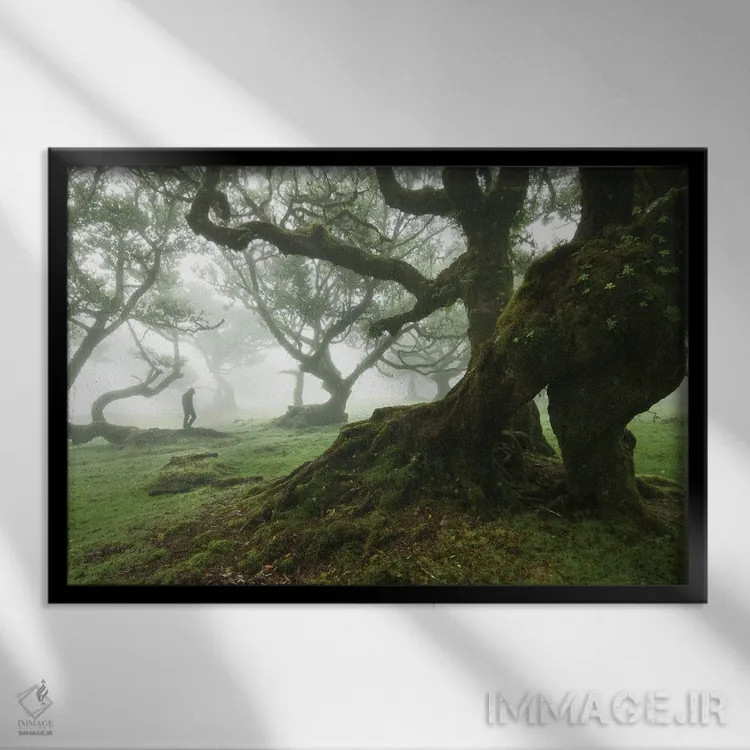 تابلو در دل جنگل فانال اثر آنابل شابر - نمای قابدار مشکی