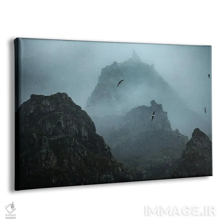 تابلو پرندگان شبحگونه اثر آنابل شابر - نمای پرسپکتیو محصول