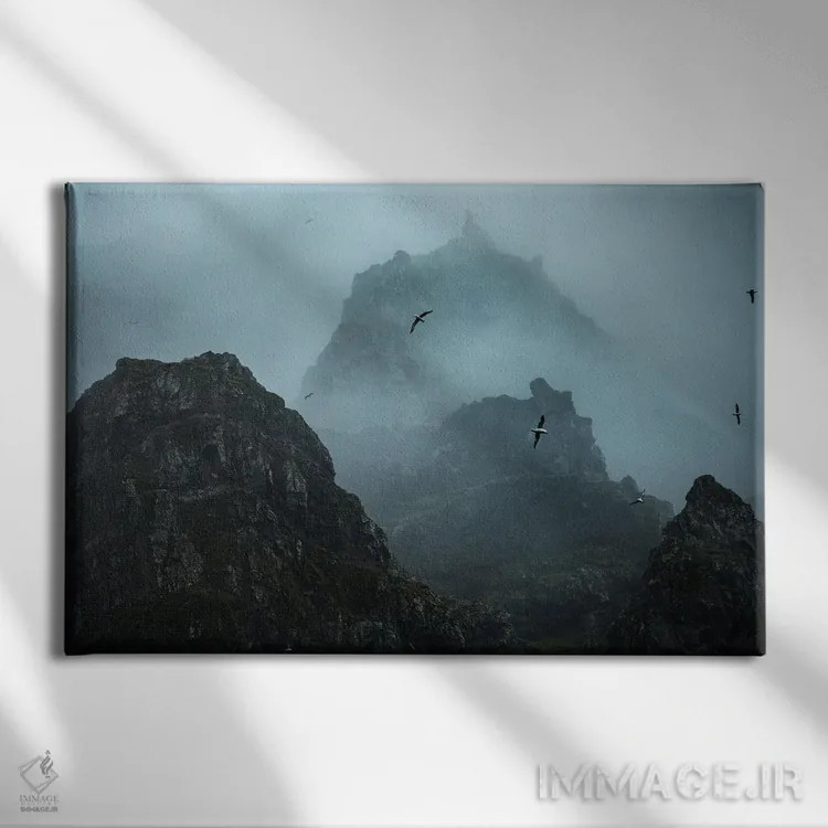 تابلو پرندگان شبحگونه اثر آنابل شابر - نمای روبهرو روی دیوار