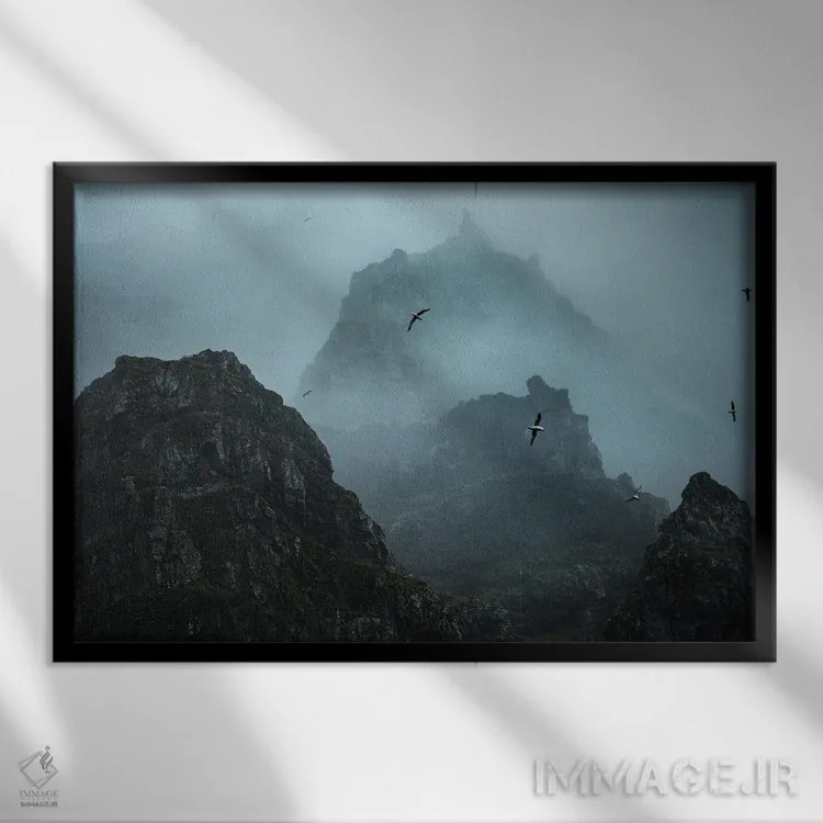 تابلو پرندگان شبحگونه اثر آنابل شابر - نمای قابدار مشکی