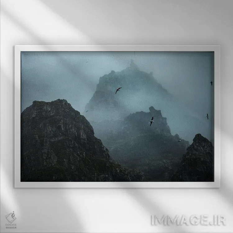 تابلو پرندگان شبحگونه اثر آنابل شابر - نمای قابدار سفید