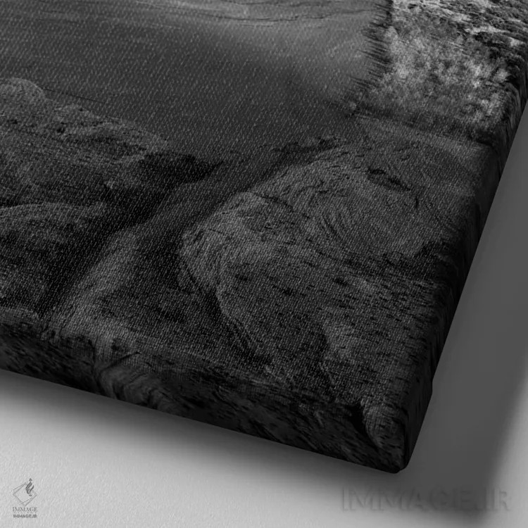 تابلو دره شلی (آریزونا) اثر انسل آدامز (عکاس طبیعت آمریکایی) - نمای نزدیک بافت بوم