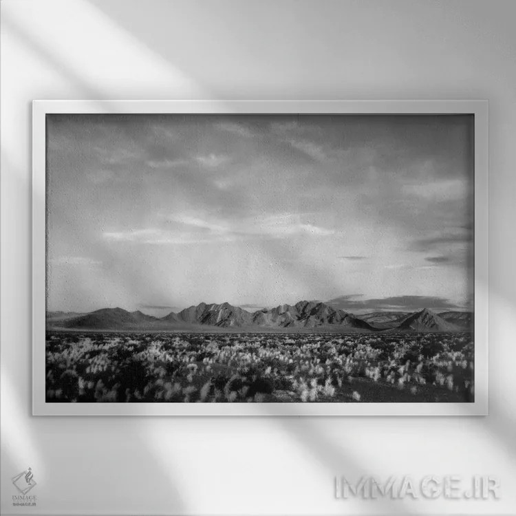 تابلو نزدیک یادبود ملی دره مرگ اثر انسل آدامز (عکاس طبیعت آمریکایی) - نمای قابدار سفید