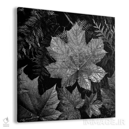 تابلو در پارک ملی گلیشر XXIII اثر انسل آدامز (عکاس طبیعت آمریکایی) - نمای پرسپکتیو محصول