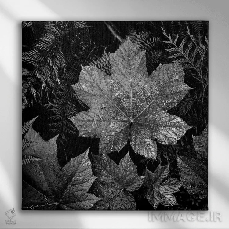 تابلو در پارک ملی گلیشر XXIII اثر انسل آدامز (عکاس طبیعت آمریکایی) - نمای روبهرو روی دیوار