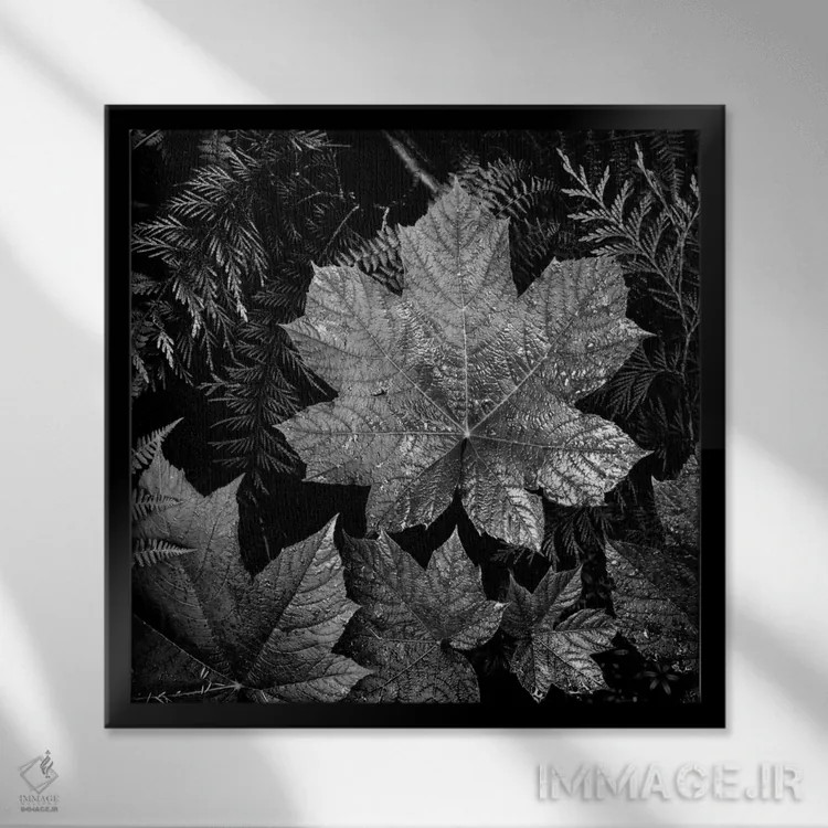 تابلو در پارک ملی گلیشر XXIII اثر انسل آدامز (عکاس طبیعت آمریکایی) - نمای قابدار مشکی