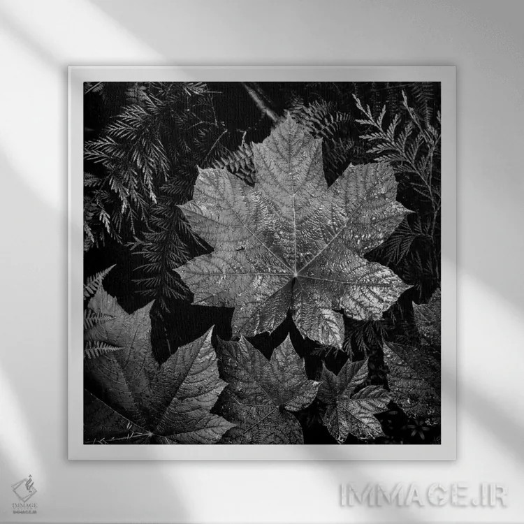 تابلو در پارک ملی گلیشر XXIII اثر انسل آدامز (عکاس طبیعت آمریکایی) - نمای قابدار سفید