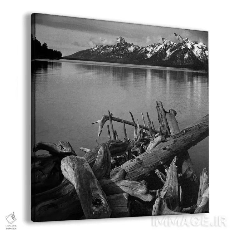 تابلو بدون عنوان اثر انسل آدامز (عکاس طبیعت آمریکایی) - نمای پرسپکتیو محصول
