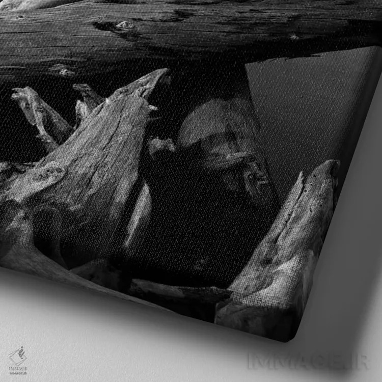 تابلو بدون عنوان اثر انسل آدامز (عکاس طبیعت آمریکایی) - نمای نزدیک بافت بوم