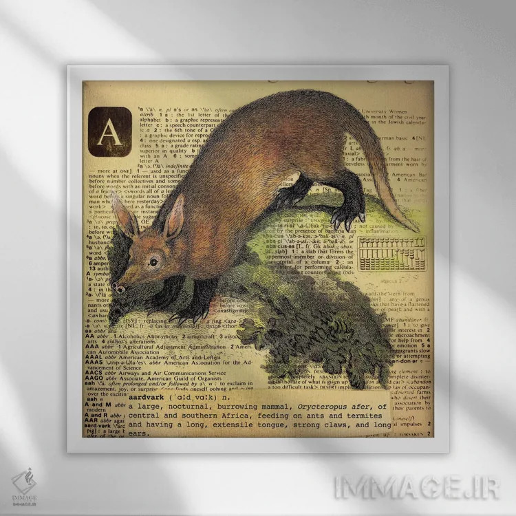 تابلو A (حرف الفبا) اثر فایو بای فایو کالکتیو - نمای قابدار سفید