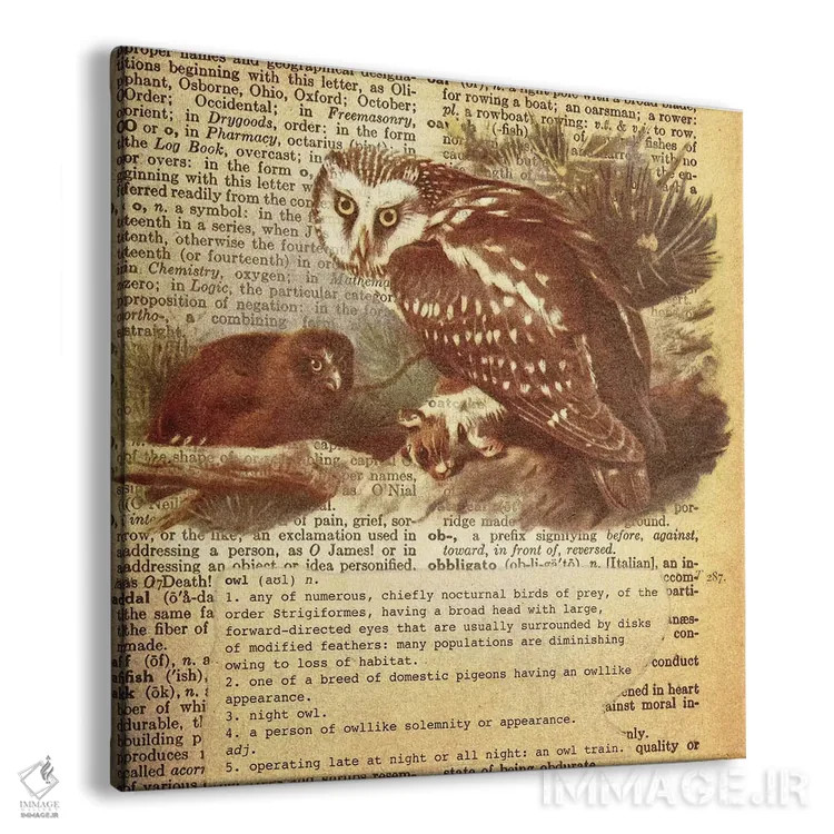 تابلو O (حرف الفبا) اثر فایو بای فایو کالکتیو - نمای پرسپکتیو محصول