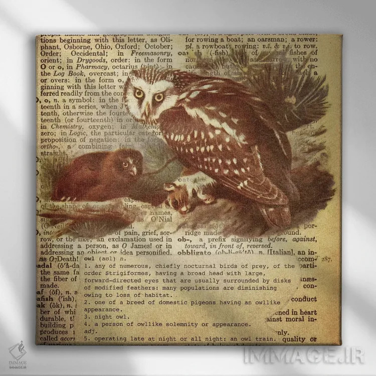 تابلو O (حرف الفبا) اثر فایو بای فایو کالکتیو - نمای روبهرو روی دیوار