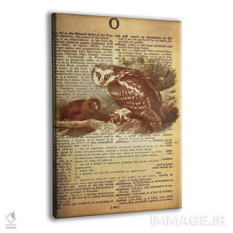 تابلو O (حرف الفبا) اثر فایو بای فایو کالکتیو - نمای پرسپکتیو محصول