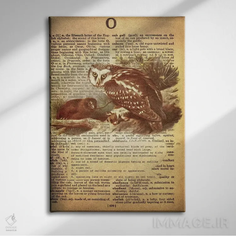 تابلو O (حرف الفبا) اثر فایو بای فایو کالکتیو - نمای روبهرو روی دیوار