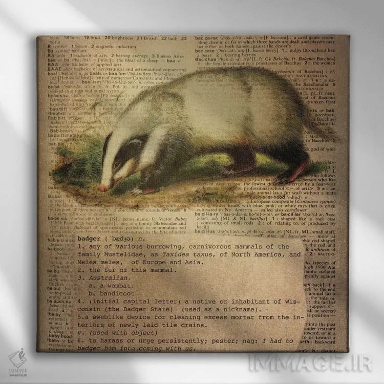 تابلو B (حرف الفبا) اثر فایو بای فایو کالکتیو - نمای روبهرو روی دیوار