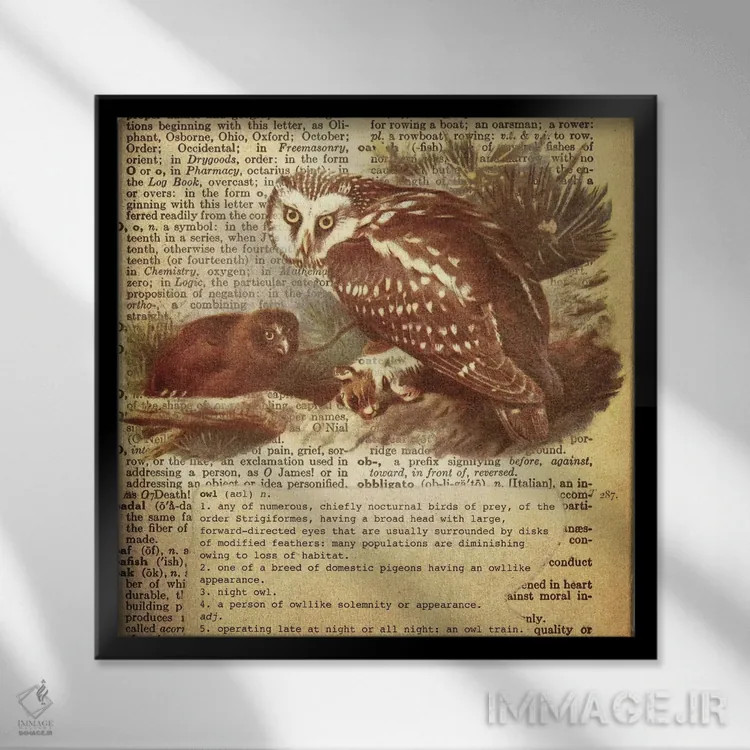 تابلو O (حرف الفبا) اثر فایو بای فایو کالکتیو - نمای قابدار مشکی