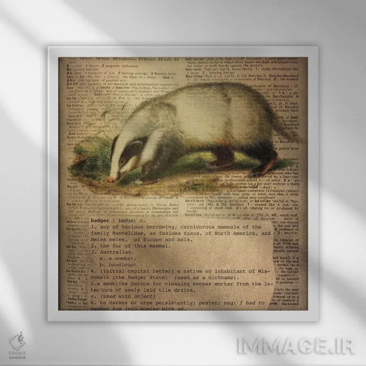 تابلو B (حرف الفبا) اثر فایو بای فایو کالکتیو - نمای قابدار سفید