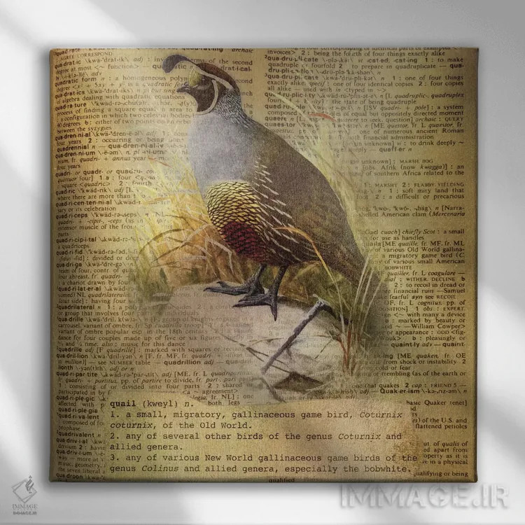 تابلو Q (حرف الفبا) اثر فایو بای فایو کالکتیو - نمای روبهرو روی دیوار