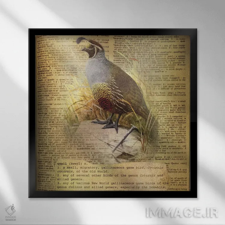 تابلو Q (حرف الفبا) اثر فایو بای فایو کالکتیو - نمای قابدار مشکی