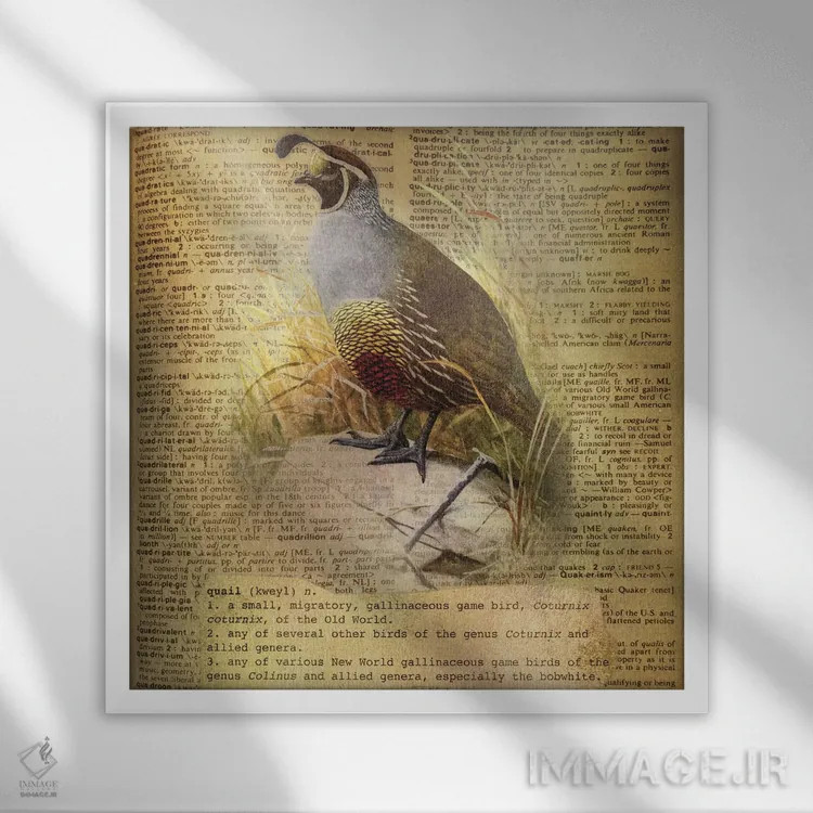 تابلو Q (حرف الفبا) اثر فایو بای فایو کالکتیو - نمای قابدار سفید