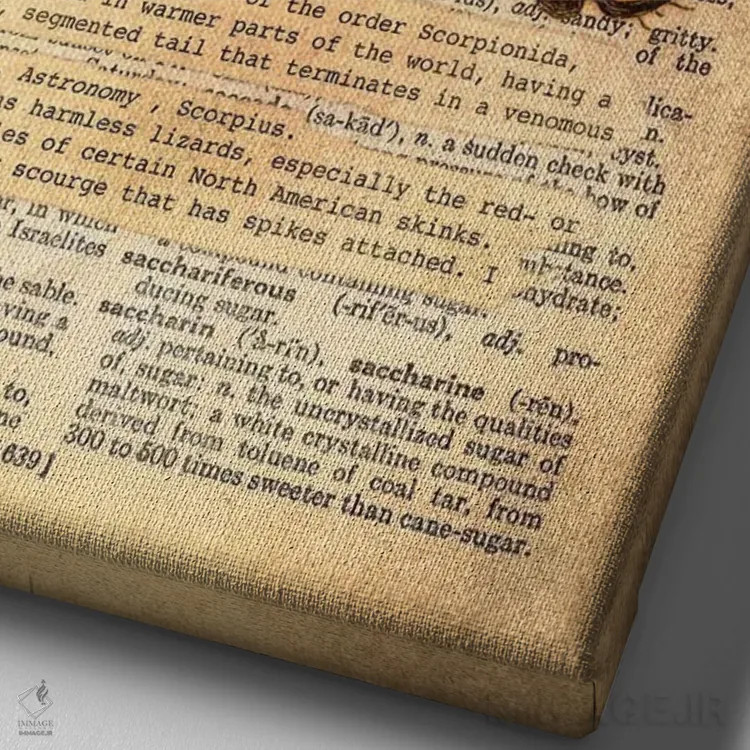 تابلو S (حرف الفبا) اثر فایو بای فایو کالکتیو - نمای نزدیک بافت بوم