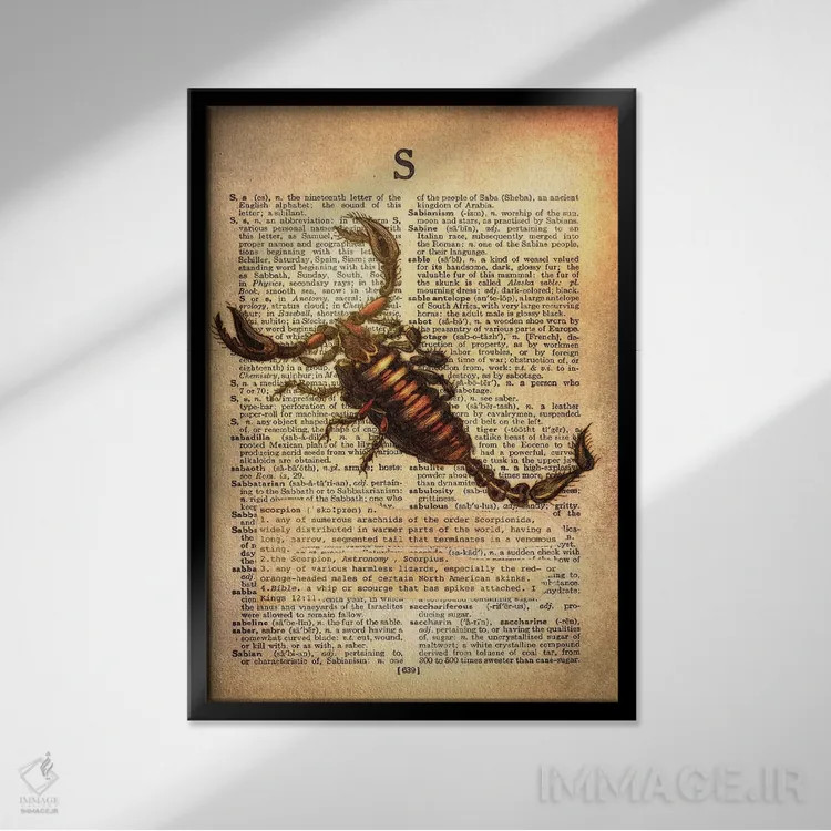 تابلو S (حرف الفبا) اثر فایو بای فایو کالکتیو - نمای قابدار مشکی