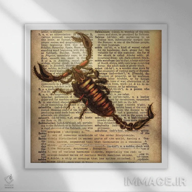 تابلو S (حرف الفبا) اثر فایو بای فایو کالکتیو - نمای قابدار سفید