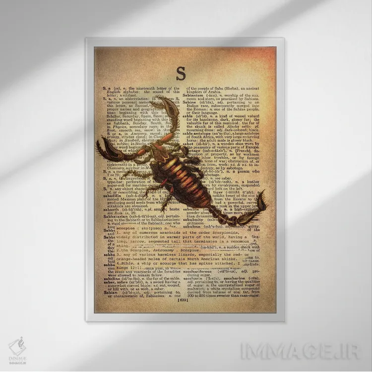 تابلو S (حرف الفبا) اثر فایو بای فایو کالکتیو - نمای قابدار سفید