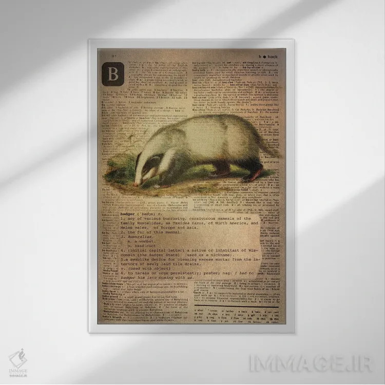 تابلو B (حرف الفبا) اثر فایو بای فایو کالکتیو - نمای قابدار سفید