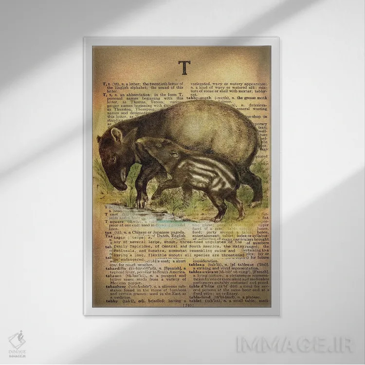 تابلو T (حرف الفبا) اثر فایو بای فایو کالکتیو - نمای قابدار سفید