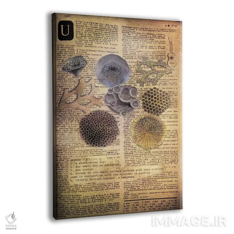 تابلو U (حرف الفبا) اثر فایو بای فایو کالکتیو - نمای پرسپکتیو محصول