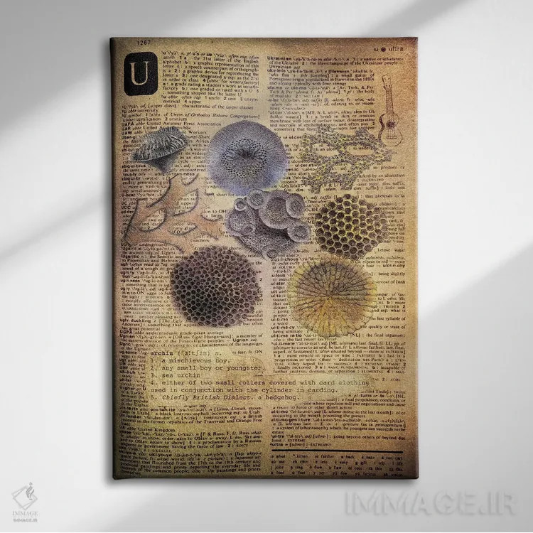 تابلو U (حرف الفبا) اثر فایو بای فایو کالکتیو - نمای روبهرو روی دیوار