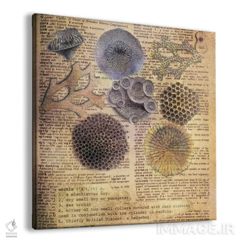 تابلو U (حرف الفبا) اثر فایو بای فایو کالکتیو - نمای پرسپکتیو محصول