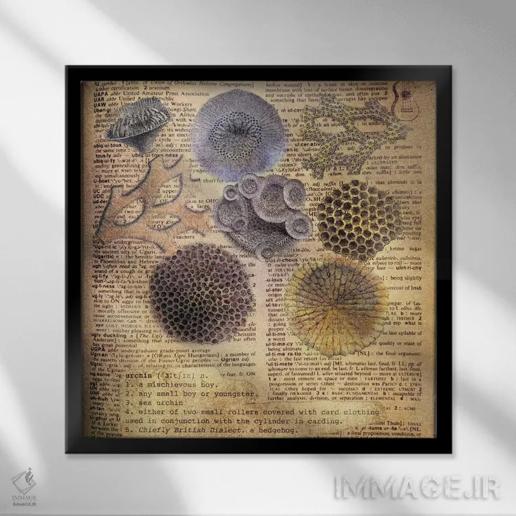 تابلو U (حرف الفبا) اثر فایو بای فایو کالکتیو - نمای قابدار مشکی