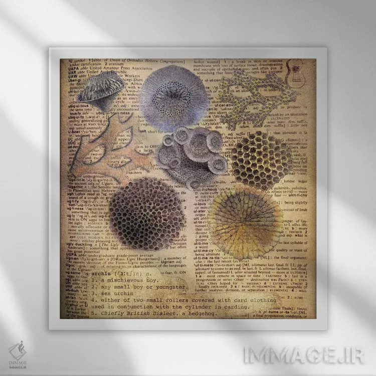 تابلو U (حرف الفبا) اثر فایو بای فایو کالکتیو - نمای قابدار سفید